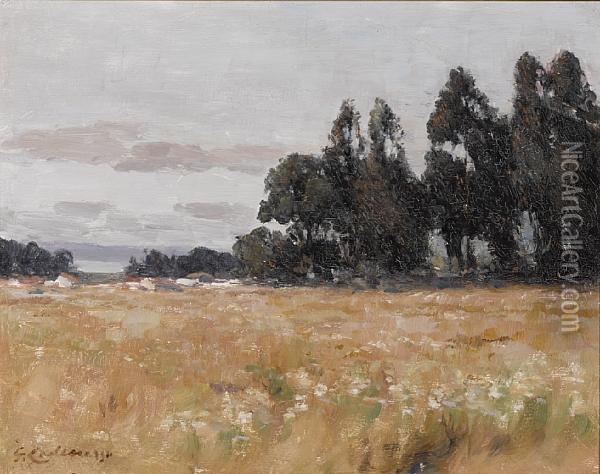 Meadow With Trees Beyond Oil Painting - Giuseppe Cadenasso