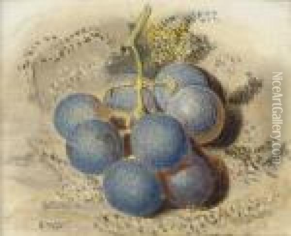 A Bunch Of Grapes Oil Painting - William Henry Hunt