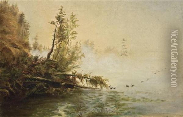 Loon Lake, Morning Oil Painting - James McDougal Hart
