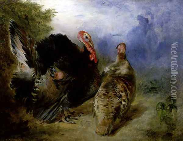 Turkeys Oil Painting - William Huggins