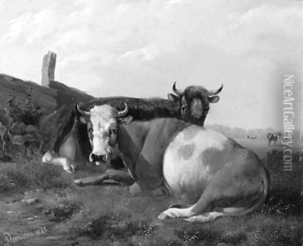 Resting cows in a sunlit meadow Oil Painting - Albertus Verhoesen