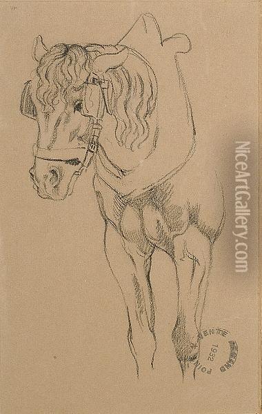 Study Of A Horse Oil Painting - Armand Point