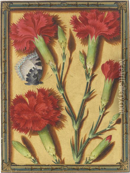 Clove Pinks And A Small Tortoiseshell Butterfly Oil Painting - Jacques (de Morgues) Le Moyne
