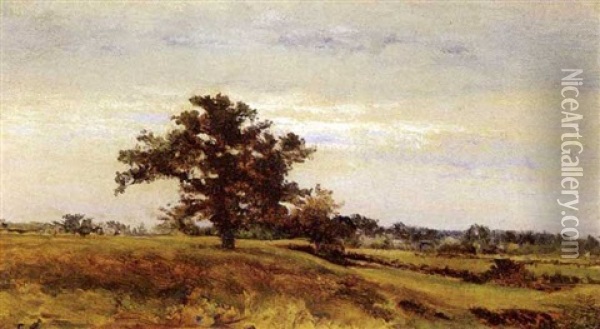Summer Landscape Oil Painting - George Inness