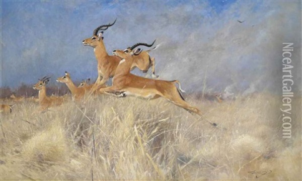 Swalla Antelope In Flight Oil Painting - Wilhelm Friedrich Kuhnert