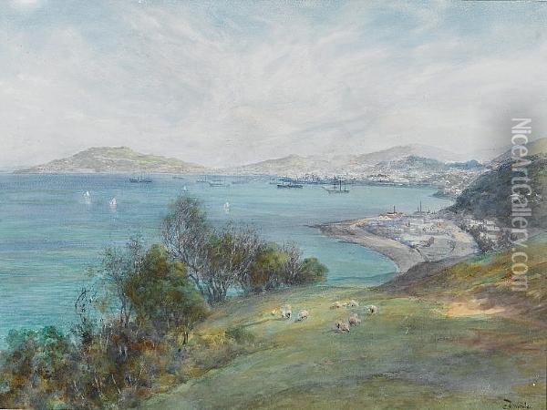 View Over Wellington Harbour, New Zealand Oil Painting - Charles Nathaniel Worsley