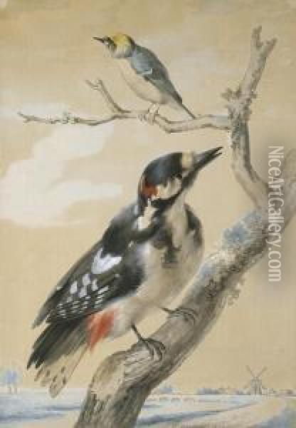 A Great Spotted Woodpecker And Another Small Bird Oil Painting - Aert Schouman