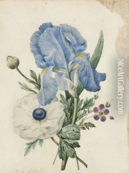 A Blue Iris, A Geranium And A White Poppy Oil Painting - Pierre-Joseph Redoute