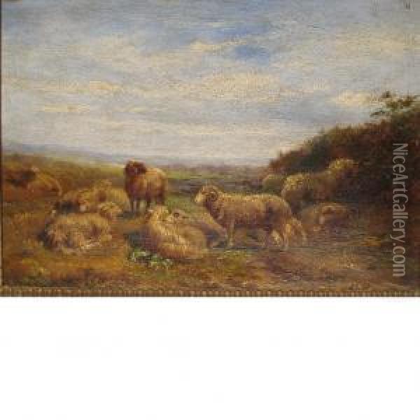 Sheep In A Landscape Oil Painting - Albert Jurardus van Prooijen