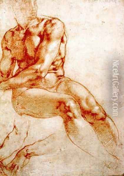 Male Nude Study Oil Painting - Michelangelo Buonarroti