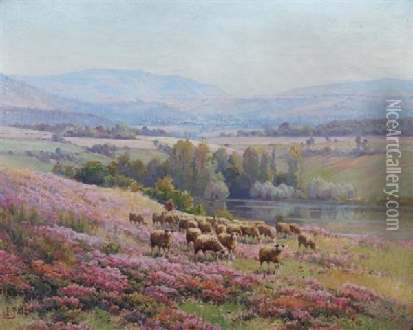 Moutons Dans La Bruyere Oil Painting - Edouard Pail