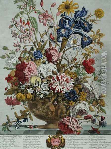 June, from 'Twelve Months of Flowers' Oil Painting - Pieter Casteels