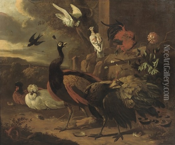 Peacocks, A Rooster, Pigeons And Other Birds Oil Painting - Melchior de Hondecoeter
