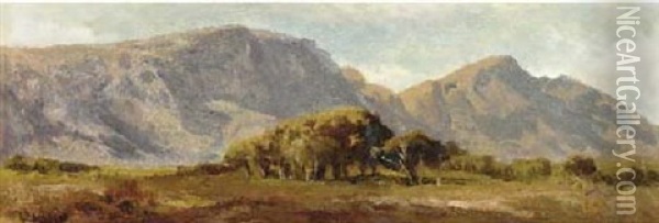 Table Mountain, South Africa Oil Painting - Edward Henry Holder