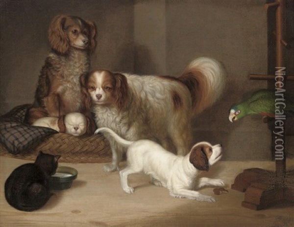 Spaniels, A Cat And A Parrot In An Interior Oil Painting - George Smith of Chichester