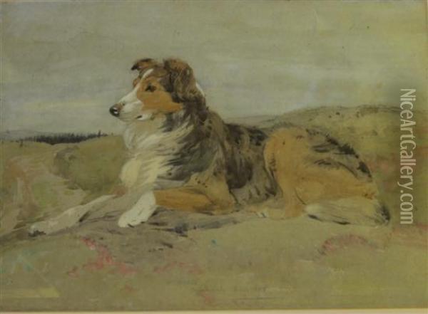 Reclining Collie Oil Painting - William Walls