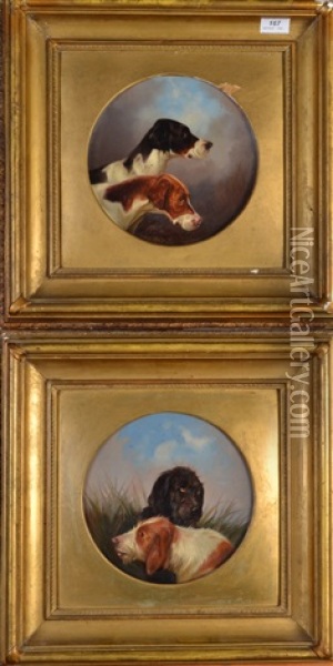 Hunting Dogs Oil Painting - Colin Graeme