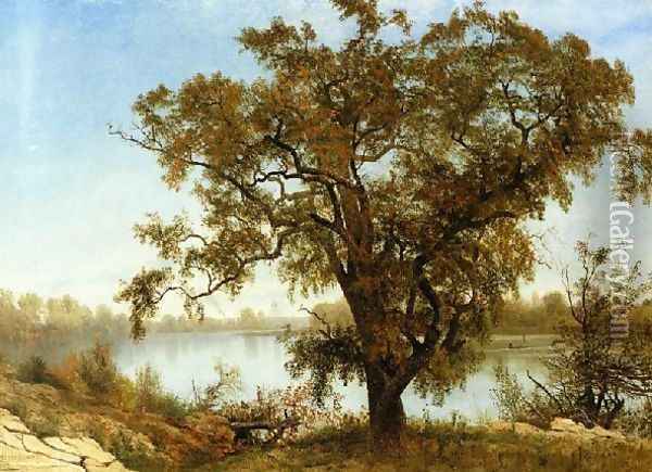 View From Sacramento Oil Painting - Albert Bierstadt