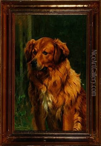 A Dog (study) Oil Painting - Simon Simonsen
