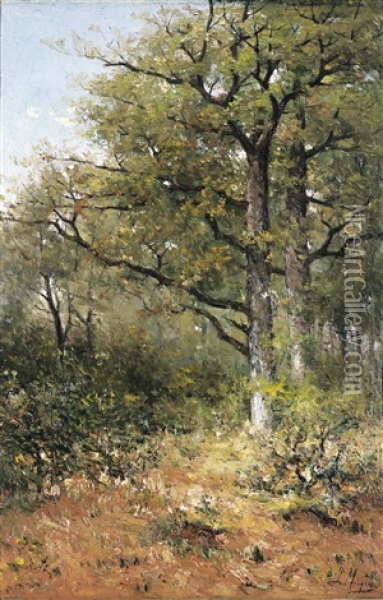 Bosgezicht Oil Painting - Isidore Meyers