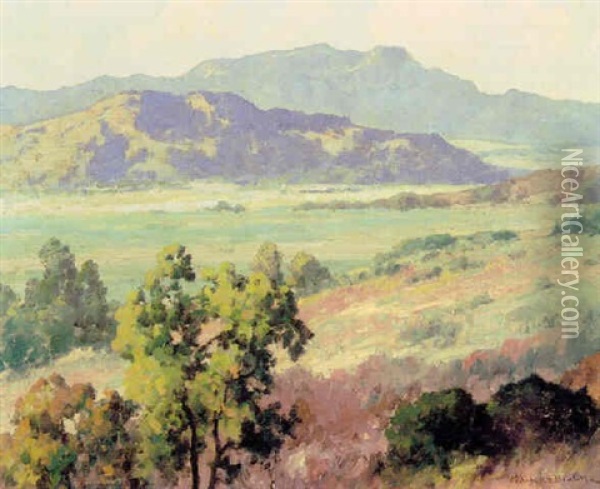 Valley Landscape In Spring Oil Painting - Maurice Braun