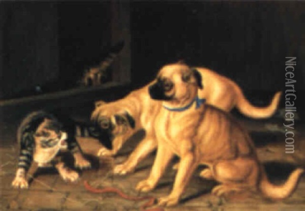 Zwei Junge Hunde, Mit Einer Katze Zankend Oil Painting - Carl Reichert