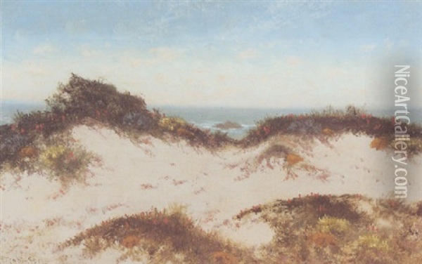 Flowering Dunes, Carmel Oil Painting - Charles Dorman Robinson