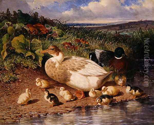 Ducks by a Stream, 1863 Oil Painting - John Frederick Herring Snr