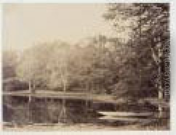 ````parc De Claremont. Le Lac', Probably 1852 Oil Painting - Joseph Vigier