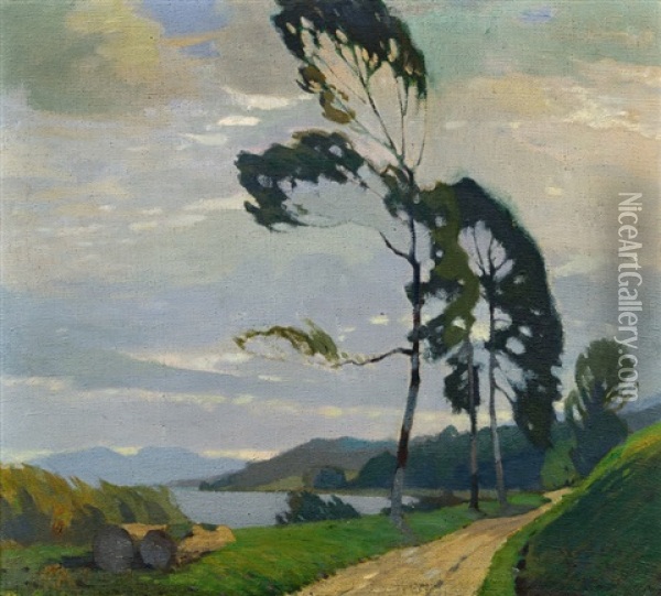 Landschaft Mit Baumen Und See Oil Painting - Alfred Poell