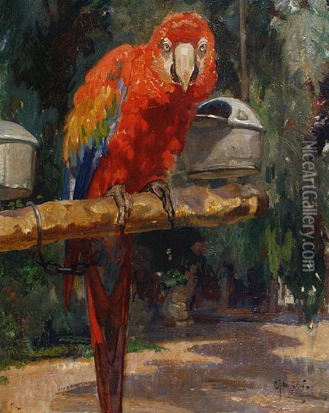 Parrot Oil Painting - Cornelis Jan Mension