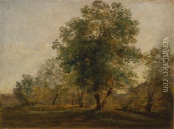 Studie Im Englischen Garten Oil Painting - Georg Maximilian Johann Von Dillis