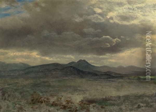 Cloud Study In San Francisco Oil Painting - Albert Bierstadt