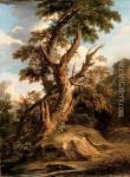 A Tree On A Bank In A Riverbed Oil Painting - Salvator Rosa