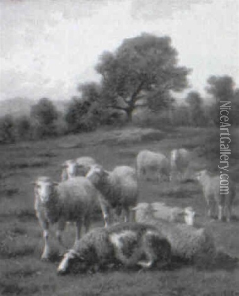 Sheep In The Pasture Oil Painting - Guillaume (Wilhelm) Wintz