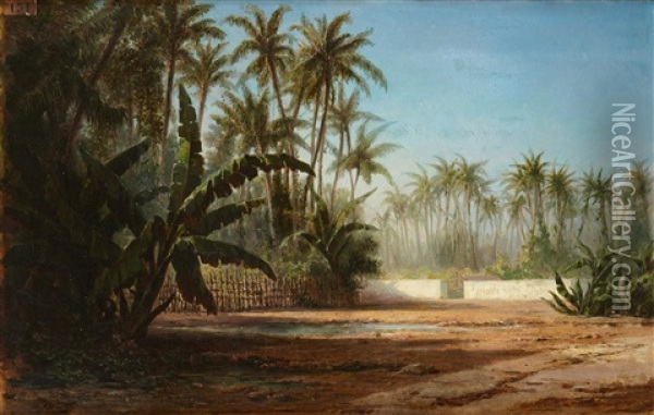Vue D'une Palmeraie Oil Painting - Leon Adolphe Auguste Belly