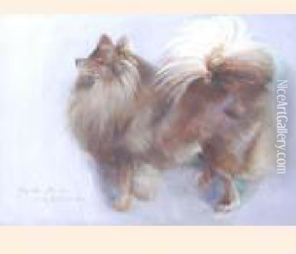 Pooh-bah, A Pomeranian Oil Painting - Frank Southgate