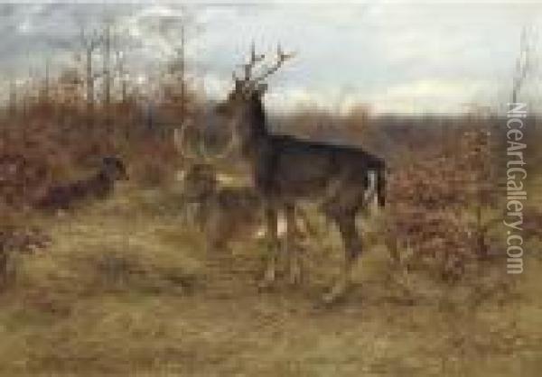 Three Stags In A Woodland Oil Painting - Rosa Bonheur