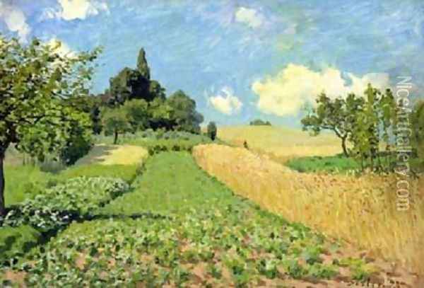 The Cornfield Oil Painting - Alfred Sisley