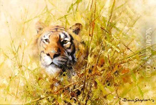 Tiger Study Oil Painting - Thomas Hosmer Shepherd