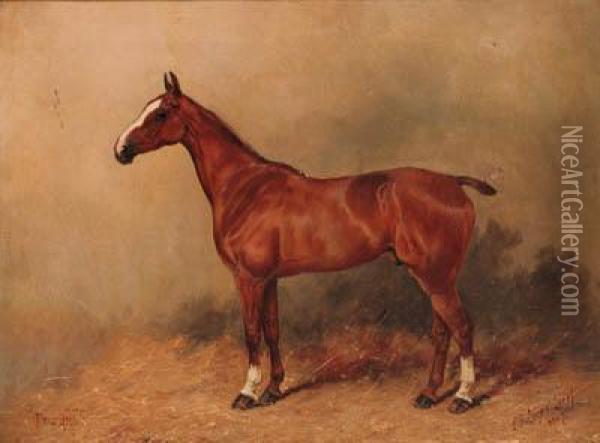 Friz-hill, A Chestnut Polo Pony Oil Painting - Henry Frederick Lucas-Lucas