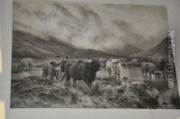 Highland Cattle Oil Painting - Louis Hunt