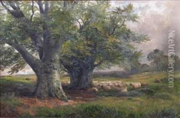 Beech Trees Near Ingleby, Derbyshire Oil Painting - George Turner