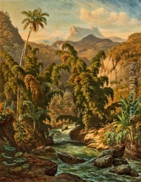 Cuban Landscape Oil Painting - Johann Adolf Hoeffler