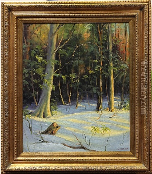 Winter Forest Oil Painting - Walter Koeniger