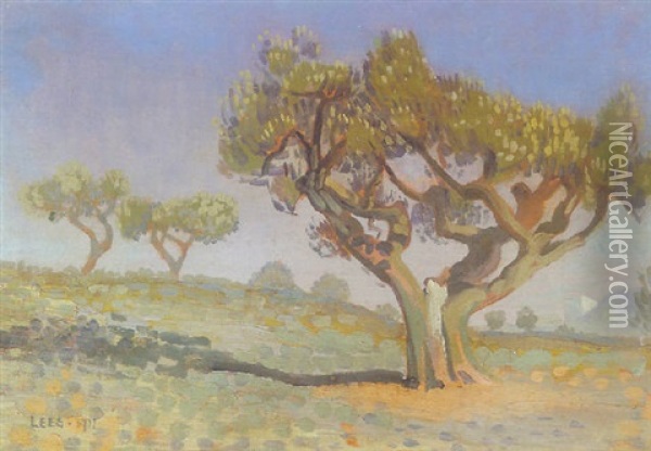 Trees In Provence Oil Painting - Derwent Lees