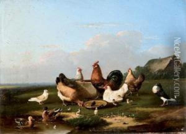 Mare Aux Poules Et Canards Oil Painting - Joseph Van Severdonck