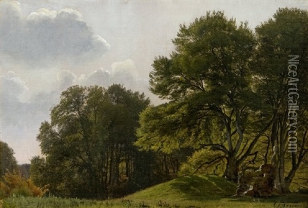 Kuperet Skovparti, I Forgrunden Lysning, Sommer Oil Painting - Carl Frederik Peder Aagaard