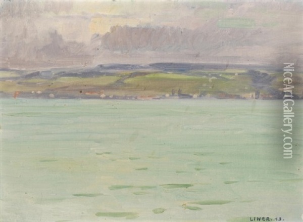 Blick Auf Den Zurichsee Oil Painting - Carl August Liner