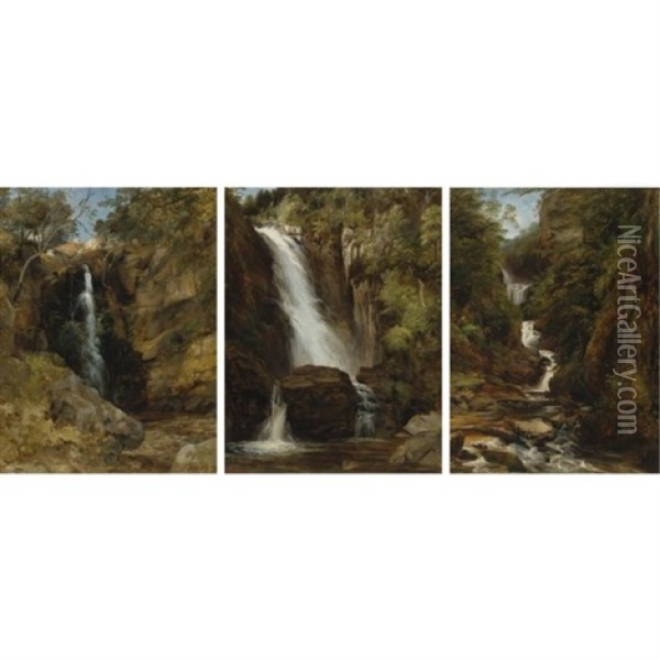A View Of The Falls Of The Valley Of Desolation, Bolton Abbey, North Yorkshire (+ 2 Others; 3 Works) Oil Painting - Frederick Richard Lee